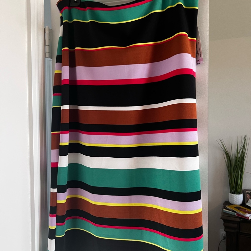 Multicolor Striped Women's Skirt